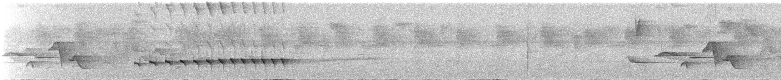 Dusky Antbird - ML429593881
