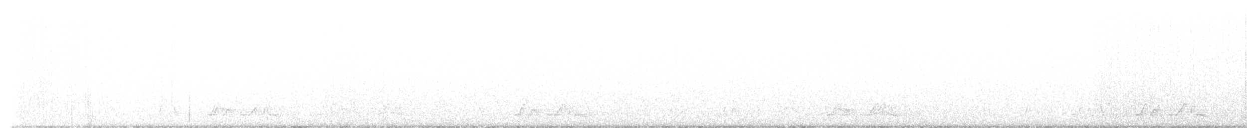 Chuck-will's-widow - ML429594071