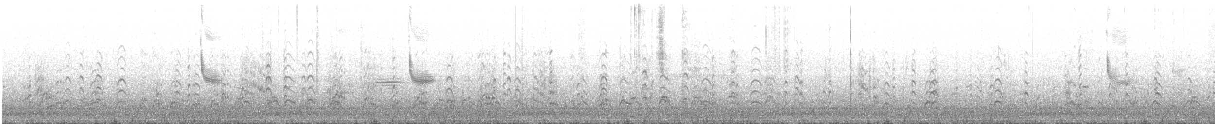 vlhovec červenokřídlý (ssp. californicus/mailliardorum) - ML429619161