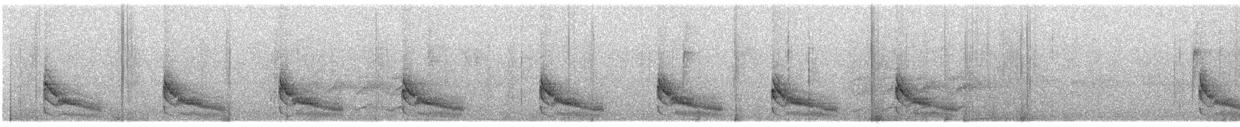 Moustached Wren - ML429625371