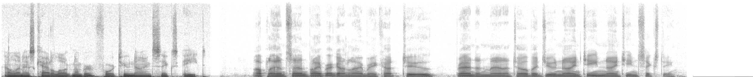 Correlimos Batitú - ML42968