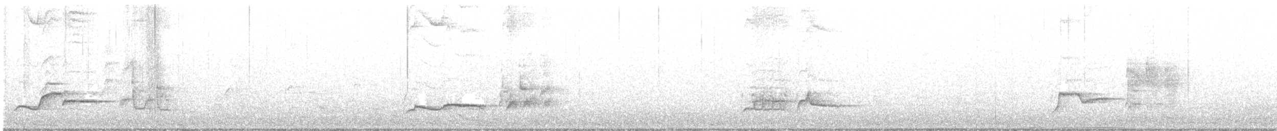 Tasmanerddrossel - ML429814911