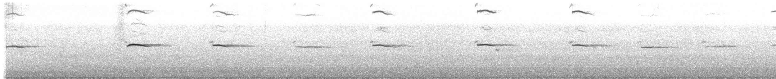 紐澳紅嘴鷗(novaehollandiae/forsteri) - ML429853781