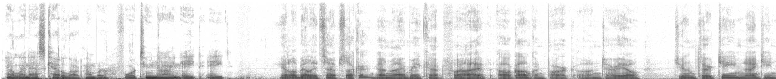 シルスイキツツキ - ML42988