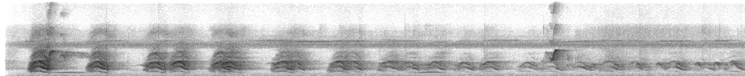 Yellow-crowned Amazon - ML429882531