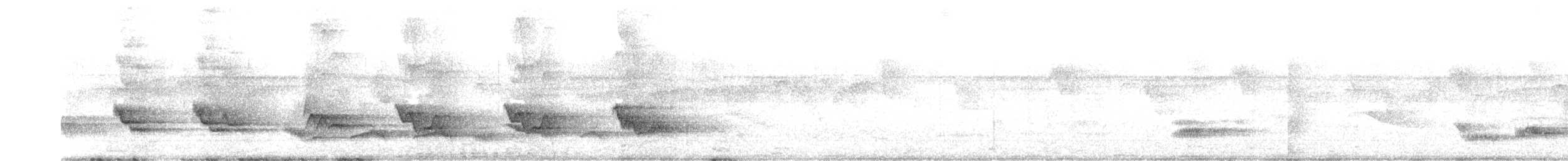 Black-billed Thrush - ML429883151