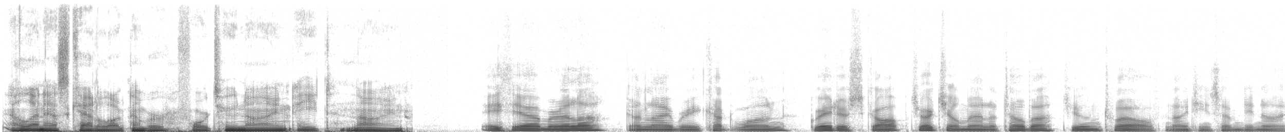 Fuligule milouinan - ML42989