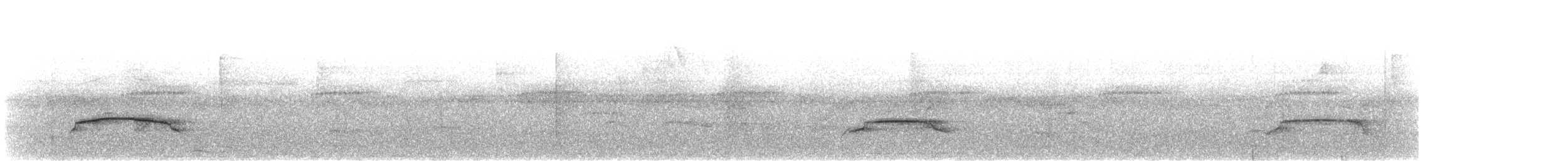 mørkhettetyrann (lawrenceii gr.) - ML429935861