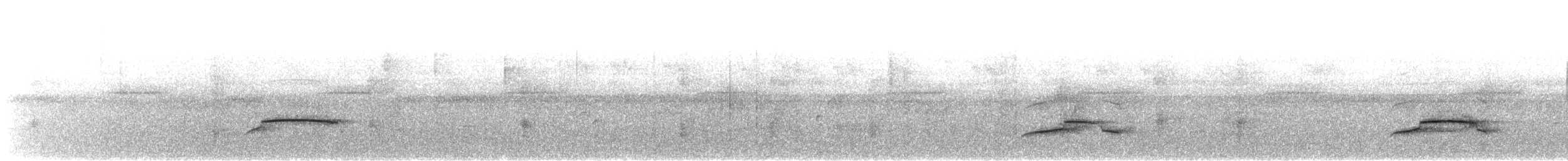 mørkhettetyrann (lawrenceii gr.) - ML429935871