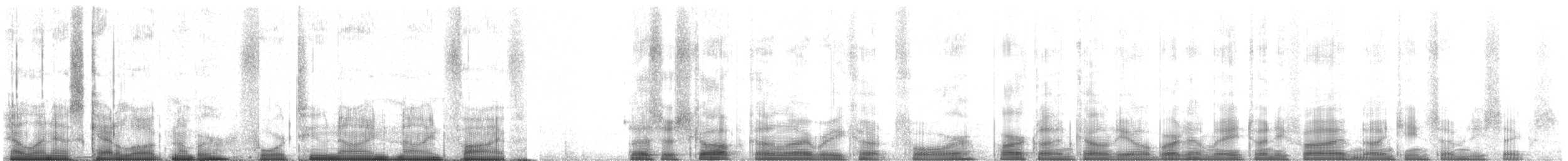 polák vlnkovaný - ML42995