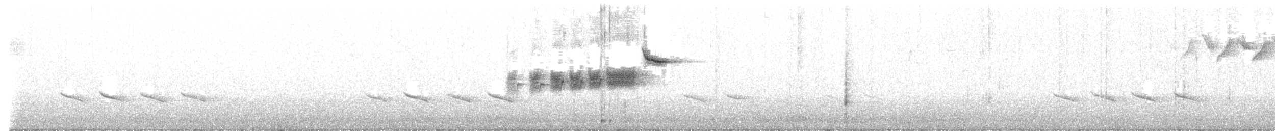 Golden-cheeked Warbler - ML429952501