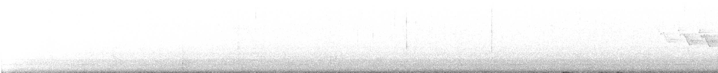 Yellow-throated Warbler - ML429964751