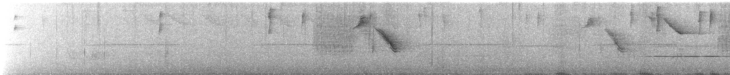 Hispaniolasmaragdkolibri - ML430032821