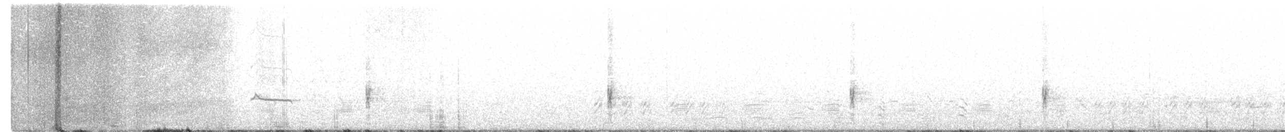 Say's Phoebe - ML430038921