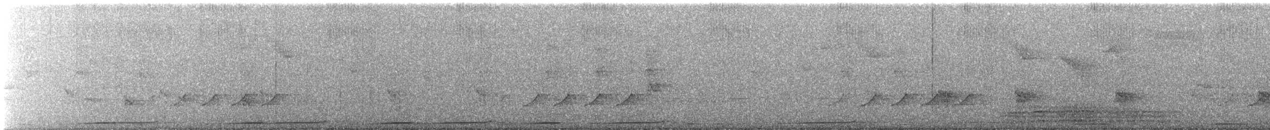 Flat-billed Vireo - ML430040811