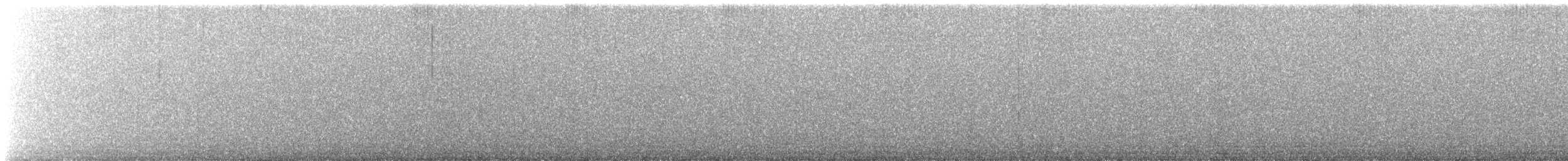 Тиран темноголовий (підвид gabbii) - ML430041061