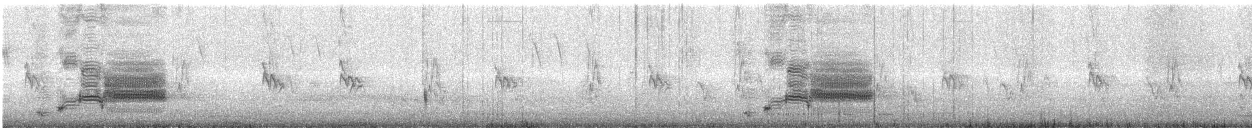 vlhovec červenokřídlý [skupina phoeniceus] - ML430059461