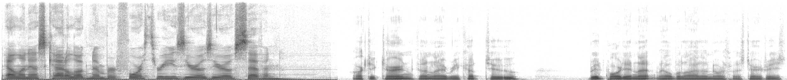 Ipar-txenada - ML43007