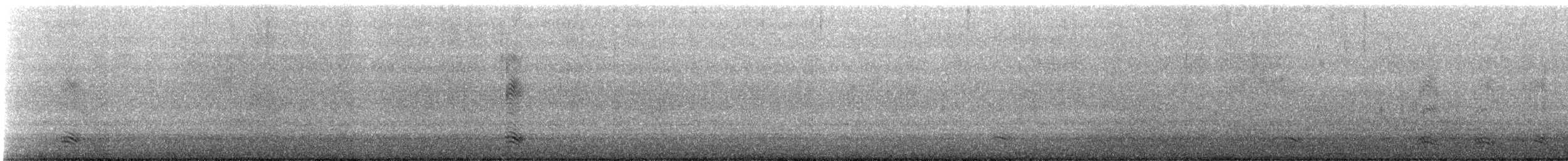 Corneille de rivage - ML430102131