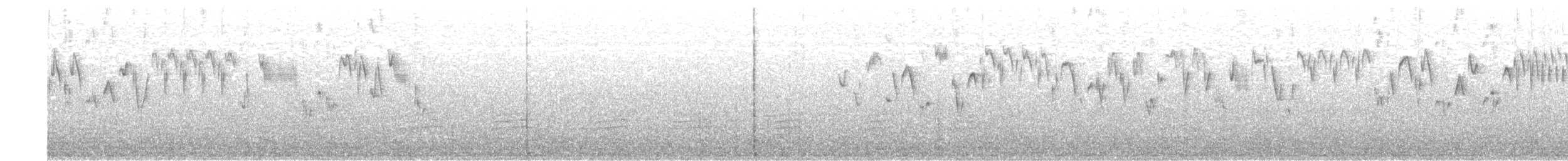 Troglodyte de Baird - ML430222971