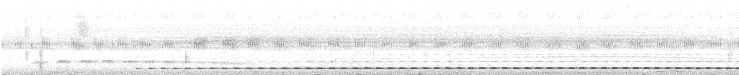 Short-tailed Antthrush - ML430243231
