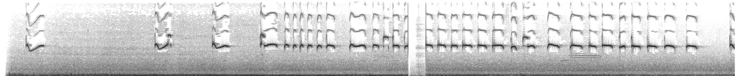 Chorlitejo Culirrojo - ML430298281