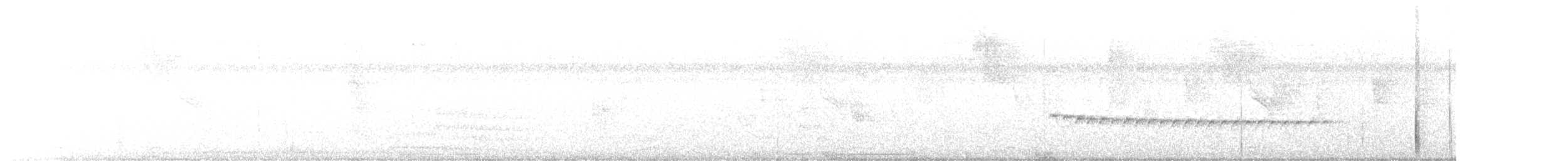 spydknottsmett (rufiventris gr.) - ML430349341