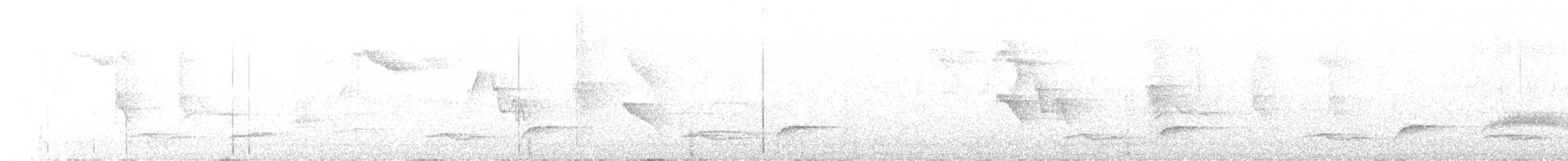 White-breasted Wood-Wren - ML430349491