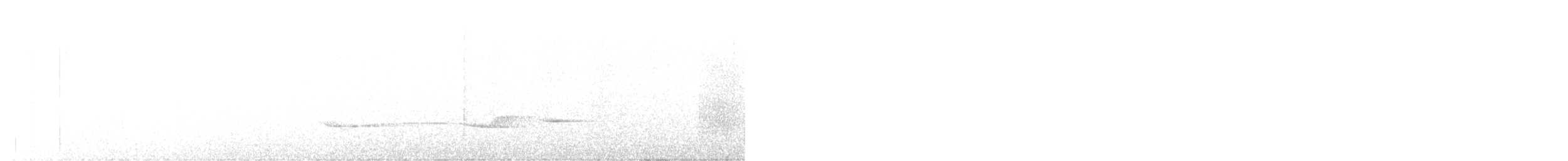 キタツグミマイコドリ（veraepacis グループ） - ML430353381