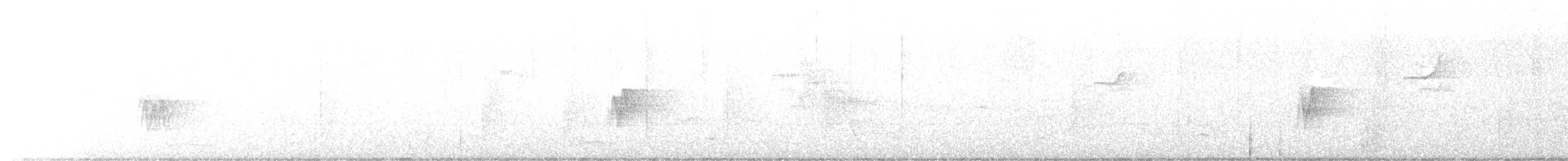 Troglodyte à poitrine blanche - ML430353511
