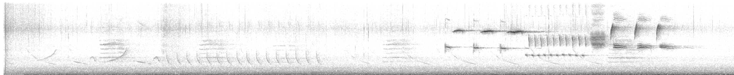 Song Sparrow - ML430360021