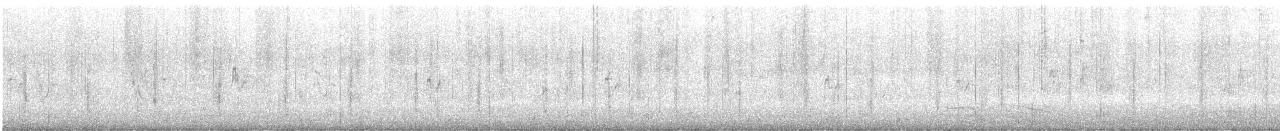 Rufipenne de Tristram - ML430406331