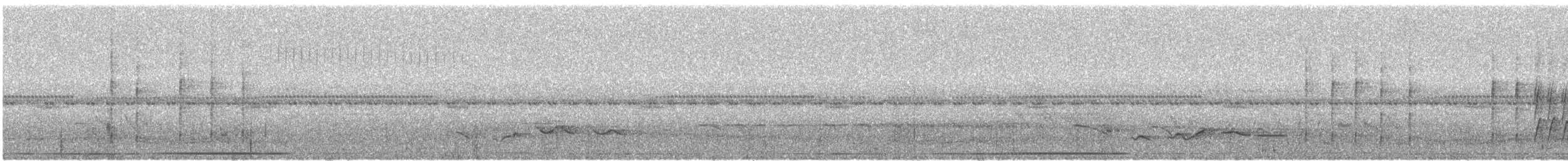 Black-and-white Tody-Flycatcher - ML430410511