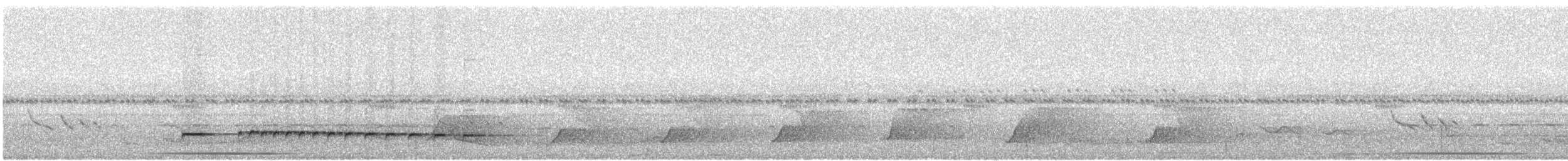 Graubrust-Ameisendrossel [analis-Gruppe] - ML430410541