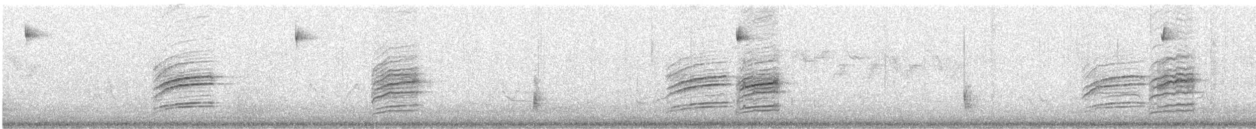 Дрізд-короткодзьоб плямистоволий - ML430437161