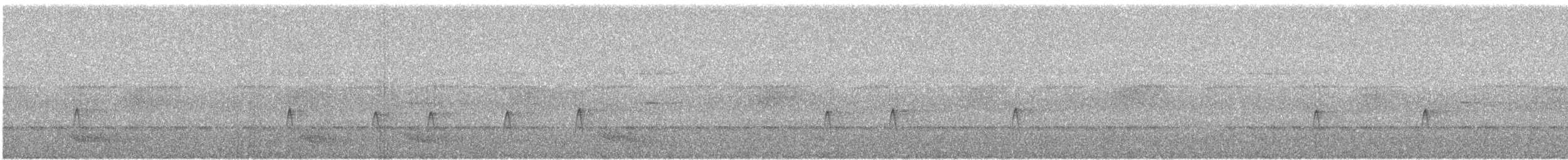 Blackish Pewee - ML430455111