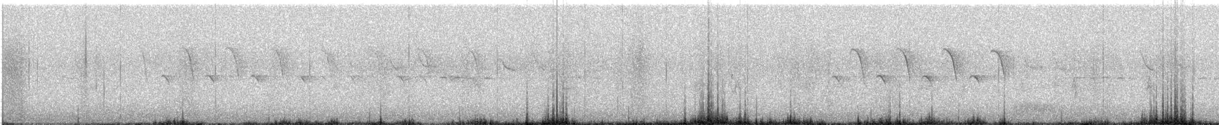 Гаїчка sp. - ML430473271