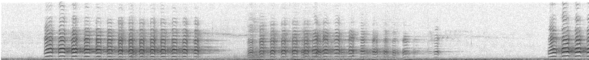 Cotorra Serrana Oriental - ML430473431