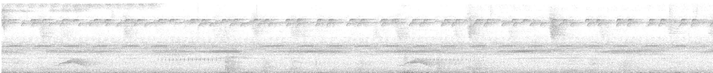 Pauraquenachtschwalbe - ML430488761