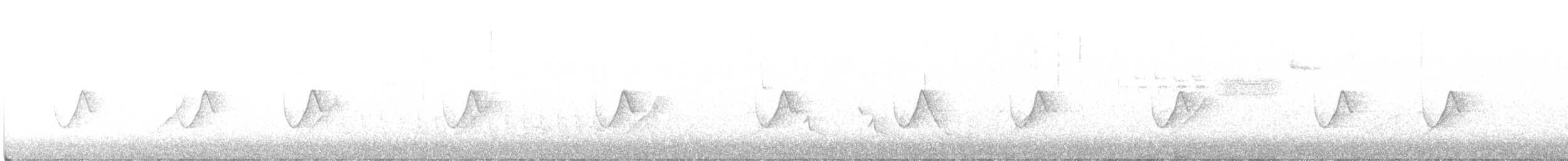 solitary vireo sp. - ML430494031