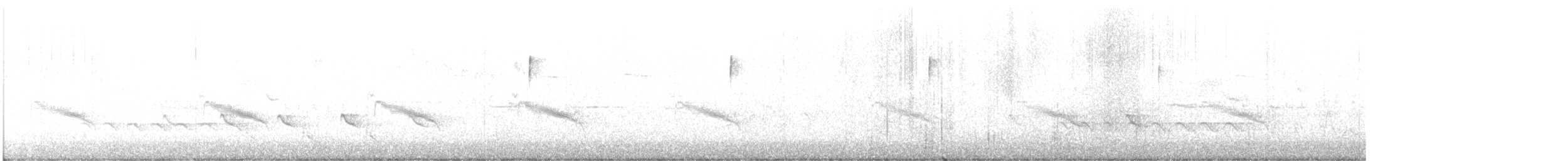 solitary vireo sp. - ML430494041