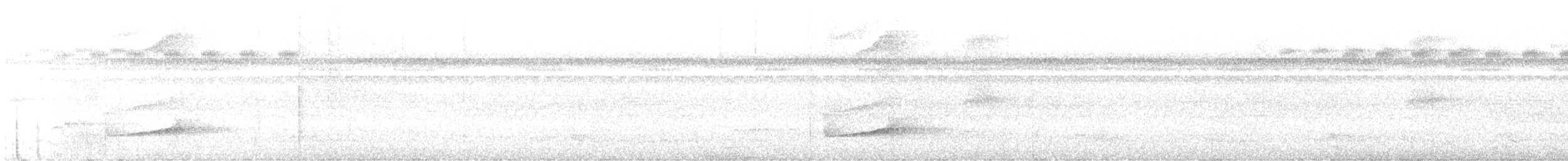 Siyah Çizgili Tırmaşık - ML430520401