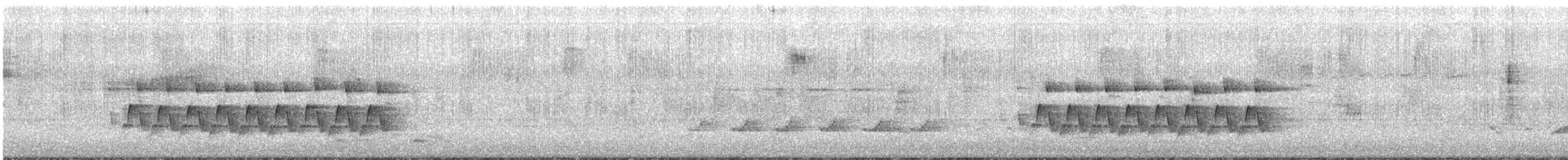 Поплітник каролінський - ML430525591