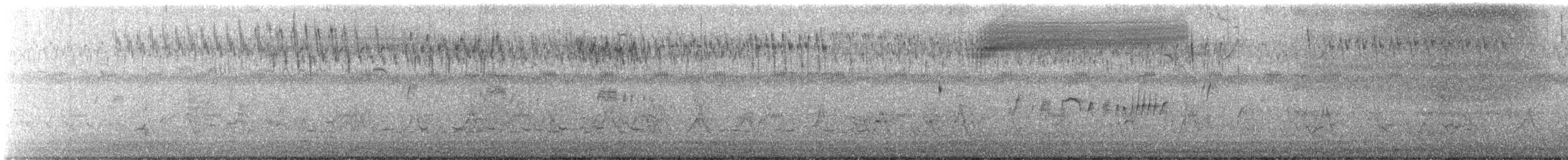 Heuschreckenammer - ML430636001