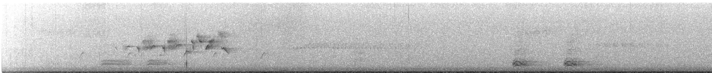 Black-throated Gray Warbler - ML430684921