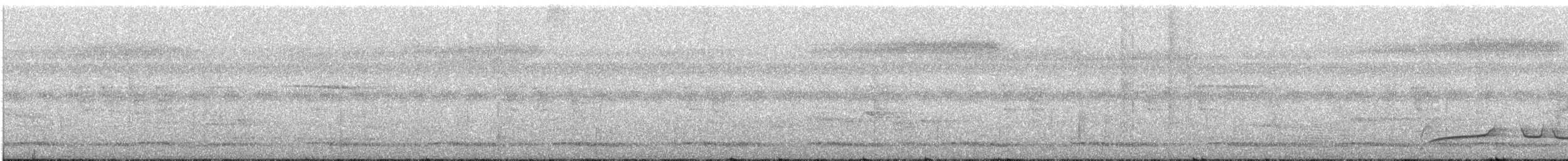 gråpannegrønndue - ML430694191