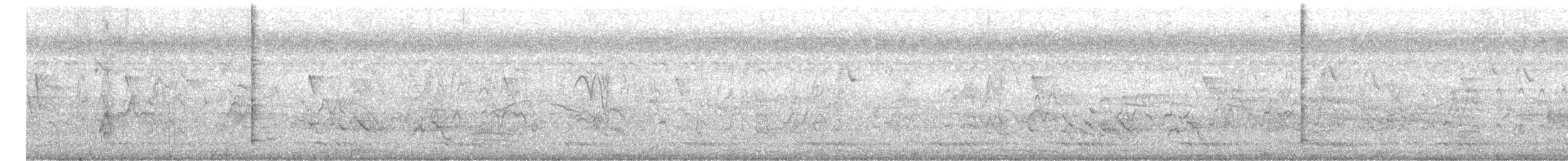 灰胸秧雞 - ML430697821