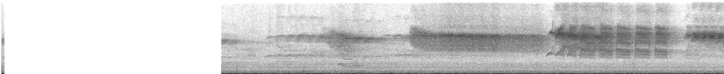 Morrison's Fulvetta - ML430701751
