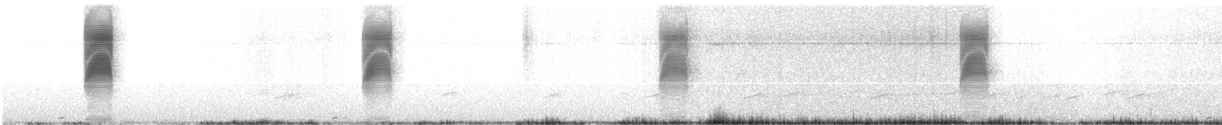 American Woodcock - ML430716891