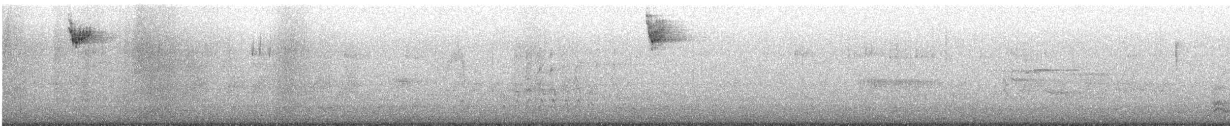 White-throated Sparrow - ML430717381